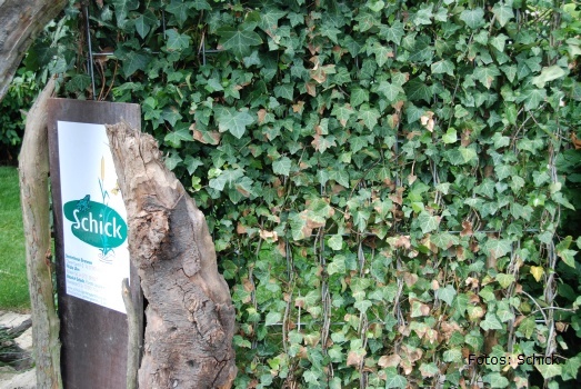 rechberghausen (31).JPG